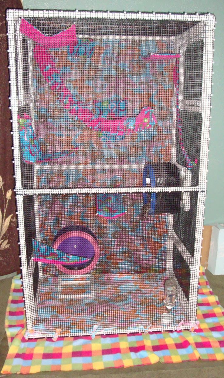 Homemade sugar deals glider cage